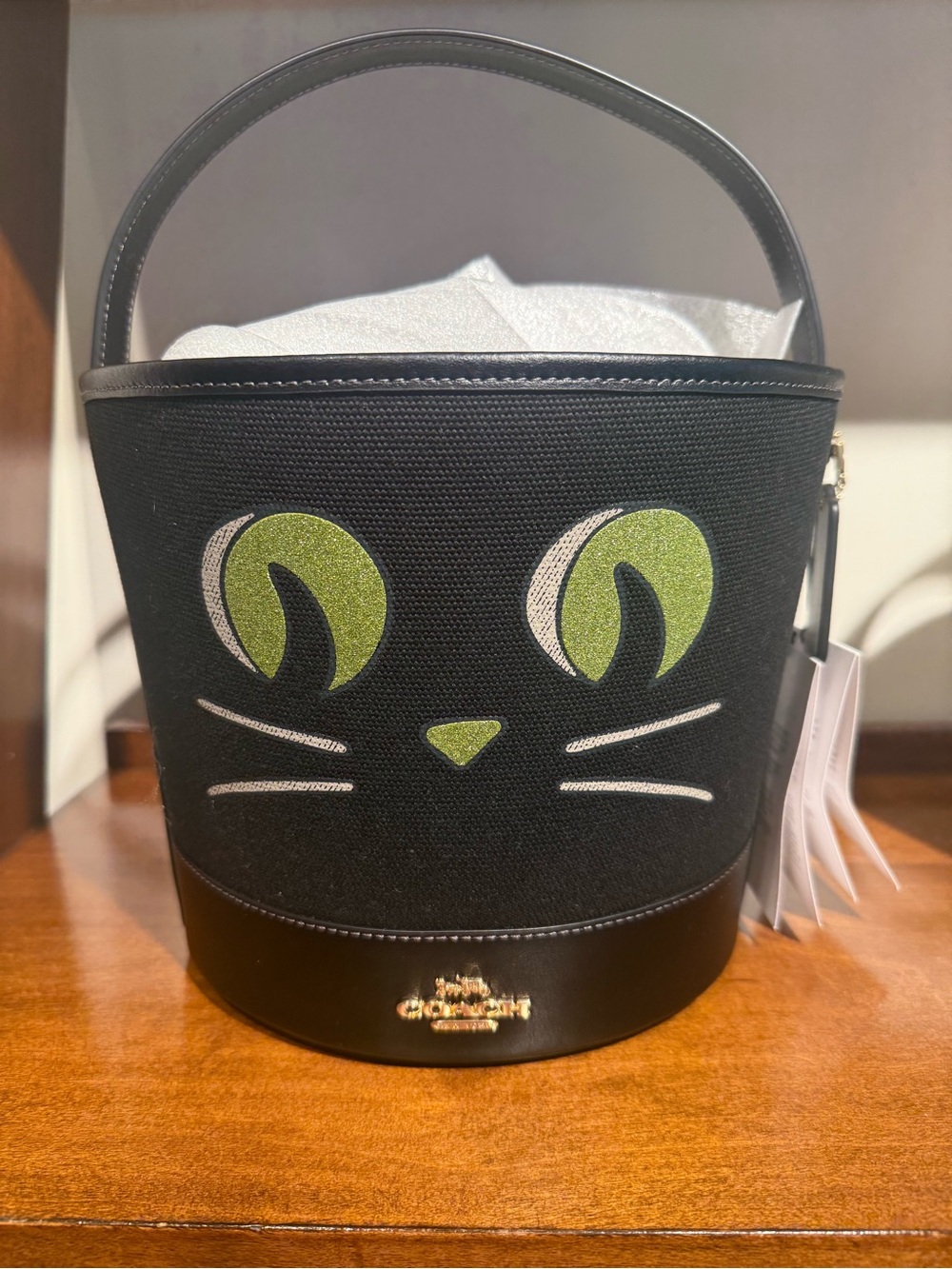 Coach authentic Black Bucket Bag with Green Cat Face nwt Halloween
